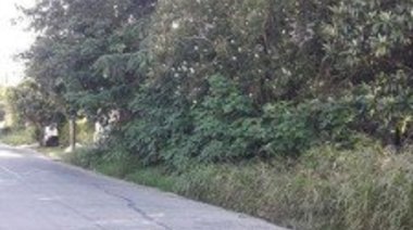 Desidia municipal de San Nicolás a la vista. A los barrios no vuelven las tasas