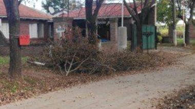 Desalojan sin garantía de defensa en  juicio a una familia de calle Cándido López de barrio Avamba´e