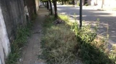 San Nicolás. Continúa el desprecio municipal por los ciudadanos que abonan tasas