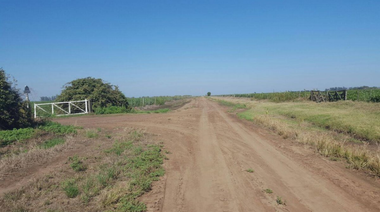 ¿Nueva licitación para mantener caminos rurales?, algo ya tercerizado