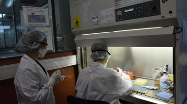 Coronavirus. Investigadores del Malbrán lograron secuenciar el genoma completo SARS-COV-2