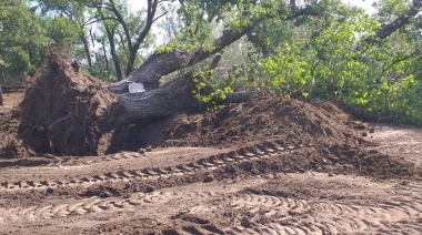 Robos y estafas con lotes y tierras en San Nicolás II