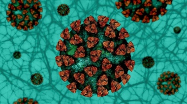 Detectan circulación comunitaria en el país de la variante británica del coronavirus