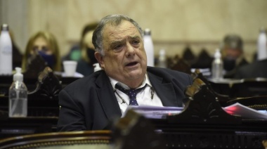 Valdés propone que el Congreso revise todas las leyes aprobadas en la dictadura