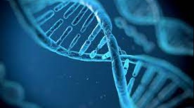 Día de Concientización sobre el Síndrome de Menkes