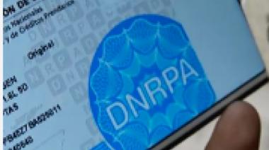 No va más la cédula azul. Hasta cuándo sirven las emitidas y cómo autorizar a otra persona para manejar