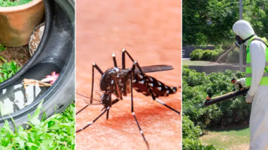 La provincia presenta brotes de dengue en 25 municipios
