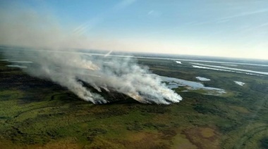 Declaran la emergencia ambiental en la zona del Delta del Río Paraná de la provincia de Buenos Aires