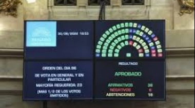 El Senado dio media sanción al proyecto de moratoria previsional