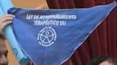 Los acompañantes terapéutico se organizan para ser reconocidos