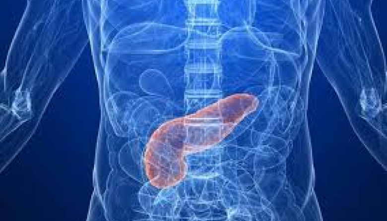 El Colegio de Médicos insta a la comunidad a tomar medidas preventivas frente al avance del cáncer de páncreas