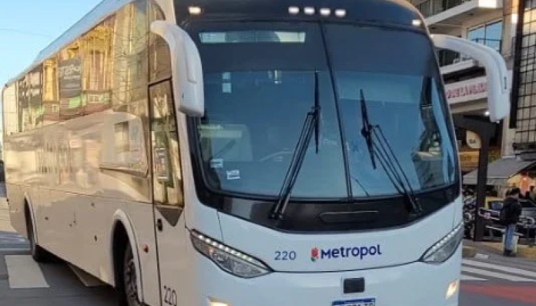 Línea 228 D: cuáles serán los recorridos y paradas en San Nicolás y las ciudades del corredor