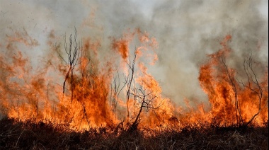 Es ley la prohibición de venta de tierras incendiadas