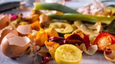 ¿Cuáles son los residuos orgánicos y qué hago con ellos?