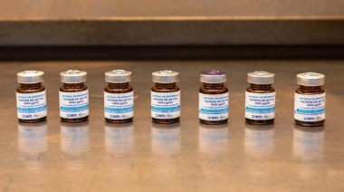 Impulsan el desarrollo de la industria del cannabis medicinal y el cáñamo industrial