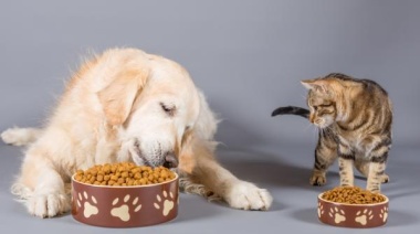 Aseguran que faltará alimento para perros y gatos