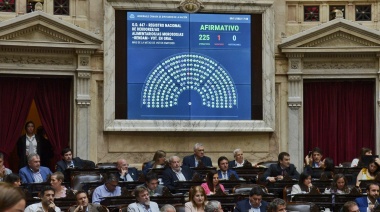 Diputados aprobó la creación del Registro Único de Deudores Alimentarios