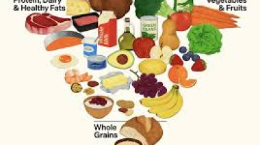 Nueva pirámide alimentaria: Estados Unidos prioriza la calidad sobre las calorías