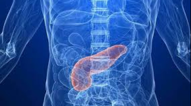 El Colegio de Médicos insta a la comunidad a tomar medidas preventivas frente al avance del cáncer de páncreas