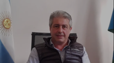 Hechos desoja margaritas.  Nos quieren, no nos quieren