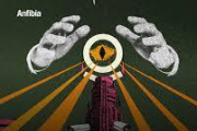 Hábeas Data Colectivo contra la implementación del gemelo digital